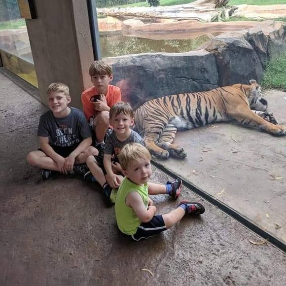 Meet your Posher, Tina - Picture 1 of 1